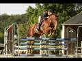 saison 2007-2008.wmv
