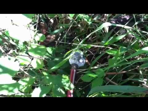 how to drain water from pool
