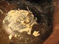 how i make canna budder how i make canna budder