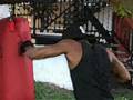 videos de FASTEST BOXING COMBO