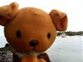 Teddy Bear - Malapascua Island, Philippines - Goldie Reports