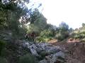 videos de Mtb rotura de tija