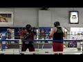 Andrei \"The Pit Bull\" Arlovski Light Sparring