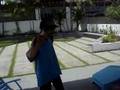 videos de trabalho de ingles