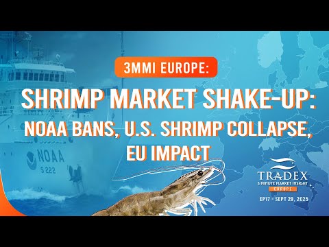 3MMI Europe: Shrimp: How NOAA Import Bans and the U.S. Shrimp Collapse Could Impact EU Markets