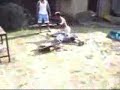 Backyard-Wrestling Backyard-Wrestling