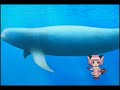Mew Mew Power Episode 19 A Girl With A Porpoise part 1 of 4