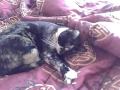 My baby Bella