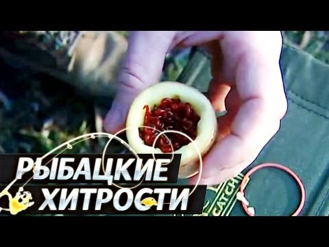 YouTube Трейлер