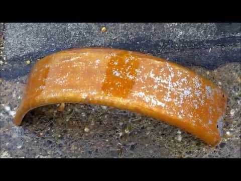 how to get rid or rust