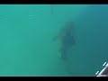 Dry Tortugas Jewfish