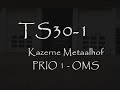 TS30-1 - OMS-Melding