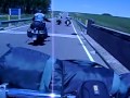 Bisontes en Ruta