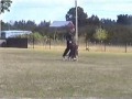 Schutzhund Obedience - BH Schutzhund Obedience - BH
