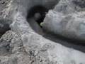 videos de cool ball run