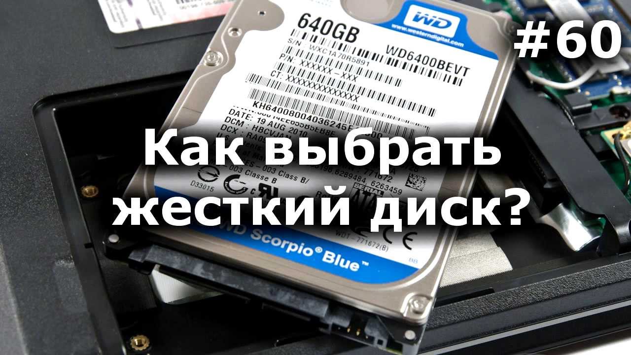 Жесткий диск. Как выбрать? На что смотреть? Какой надежнее?