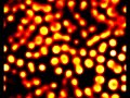 reaction diffusion spiral waves 2