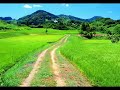 Ensemble Planeta [Aria\"Magnificat\"/G.P.Telemann]