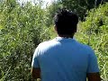 funny chingie sing Kwv Txiaj