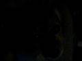 videos de Attack Of The Killer Dog Pt.2