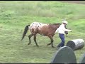 Michael Grohmann & Unity 2007