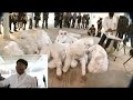 Drop Pop Up Gallery full version Part 2