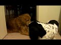 SANY0019.MP4