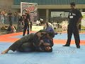 025- Brener Ferreira x Marcos Junior by X-COMBAT