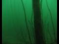 videos de Steinbruch Luise