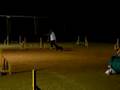 2008年6月アジリティコンペJP2