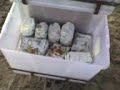 Dooonas, llegaron las donas!!.