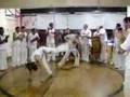 edimar capoeira (muzenza curitiba)