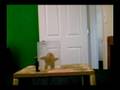 Klaymation-The Glass Box Of Despair