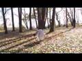 Modern-Dance-Final