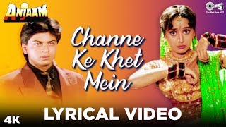 Channe Ke Khet Mein Lyrical - Anjaam  Shahrukh Kha