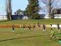 Cessnock Goannas