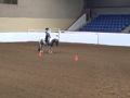 2009 APHA World Show Horsemanship Prelims