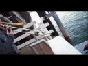 JBB members play music to sea lions on Santa Cruz Pier #2