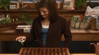 Seed Starting Part 3