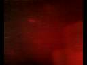 It\ It\