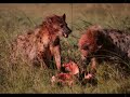 Walk On The Wild Side - Poem Walk On The Wild Side - Poem