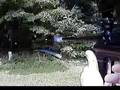 ANGEL 1 helmet cam video