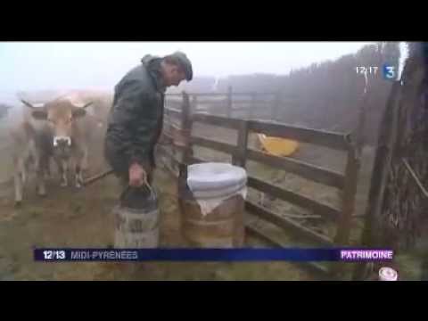 Aubrac. - A Camejane, les derniers buronniers de l'Aubrac perpétuent la tradition de l'agriculture de montagne. Rencontre avec ces bergers de l'extrême, à quelques jou...