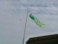 This is a Pylon Plane called an AZ Shrike made from Blure Cor foam with a JustGoFly 500th 3300kv motor