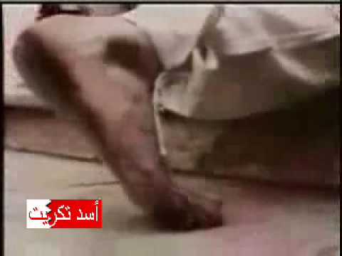 لحس الكس