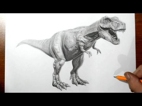 how to draw v rex