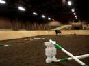 Hoppning med champion 3 dec