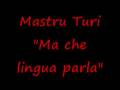 Mastru Turi - Ma Che Lingua parla.wmv