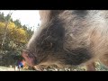 déjeuner avec le père Louis - partie 1