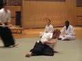 Jodori - Brady Image 1